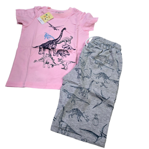 Girl's 2 Piece Dinosaur Summer Outfit - 3T