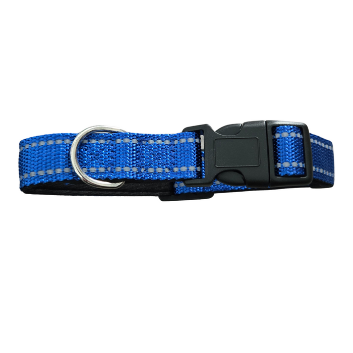 Blue Padded Reflective Dog Collar - S