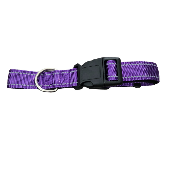 Purple Padded Reflective Dog Collar - M