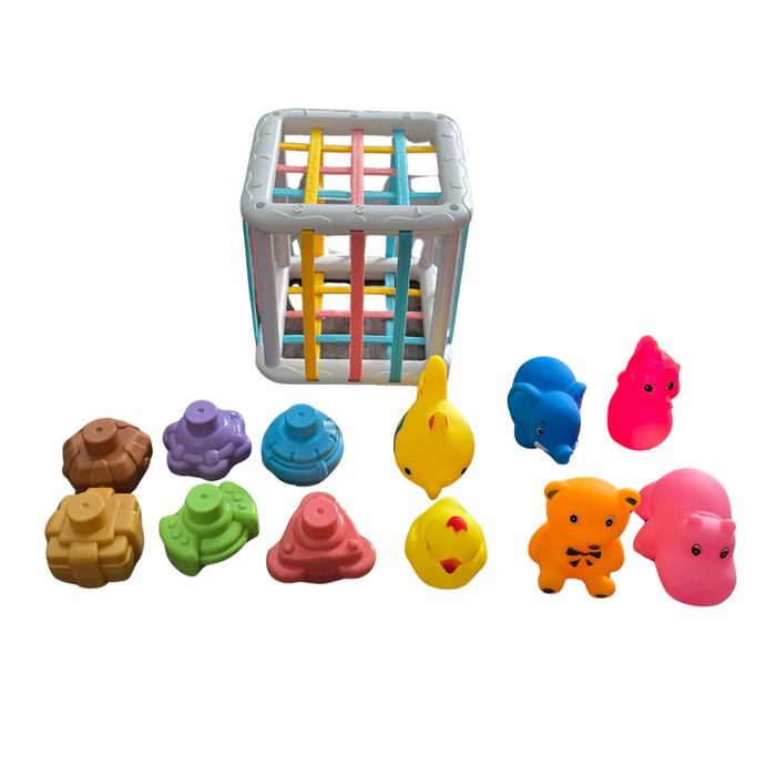 Baby Sorting Toy Block