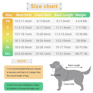 Dog Swim Trunks for After Surgery Cat Surgical Recovery - XL