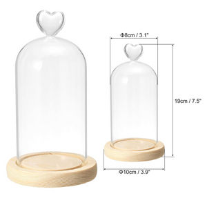 5.9"x3.1" Glass Dome Cloche, Clear Glass Bell Jar Display Case