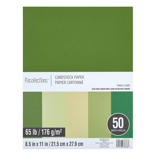8.5" x 11" 65lb. Cardstock Paper Pack by Recollections, 50 Sheets - Forest