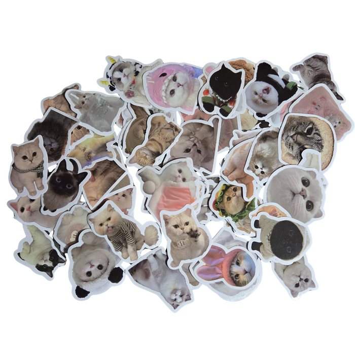 50 Cat Vinyl Food Stickers