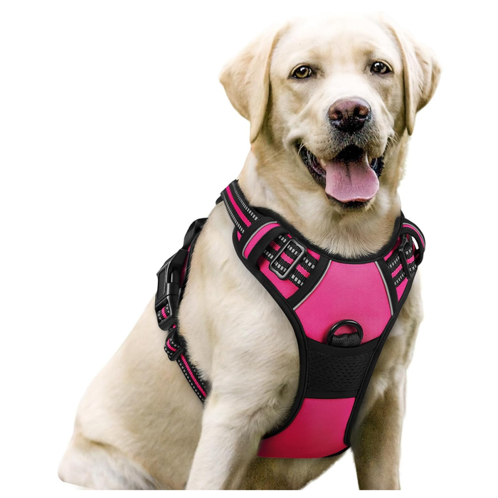 Dog Harness, No-Pull Pet Harness with 2 Leash Clips - Medium