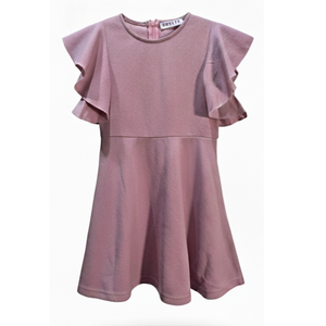 NWT Pink Flutter Sleeve A-Line Dress 4T
